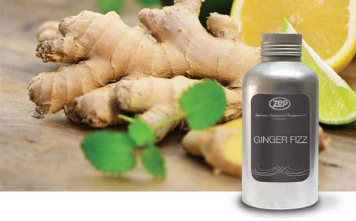 SM GINGER FIZZ